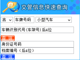 通化市公安局交警支队信息网违章查询系统