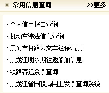 黑河市人民政府门户网站违章查询系统