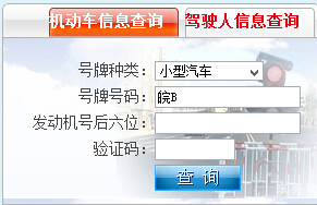 芜湖市公安局交通警察支队网上车管所违章查询系统