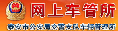 泰安网上车管所logo
