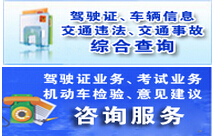 驻马店市公安局交通警察支队违章查询系统