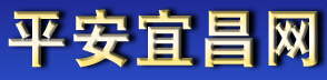 平安宜昌网LOGO