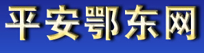 平安鄂东网LOGO