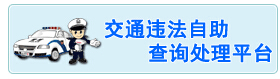 南充交警网违章查询系统