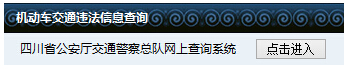 凉山公安交警违章查询系统