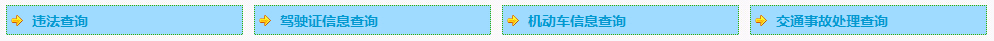 昭通市公安局交通警察支队网上车管所违章查询系统