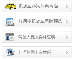 红河州公安局交通警察支队便民服务网违章查询系统