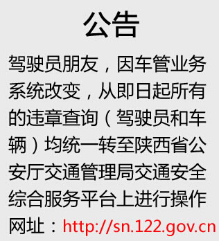 延安市公安局交警支队信息网违章查询系统