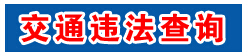 青海省海东市公安局交警支队违章查询系统